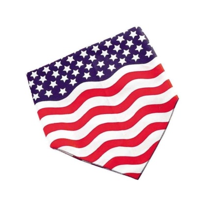 TP 4th of July Stars & Stripes Bandana