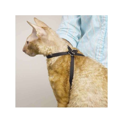 TP Adj Nylon Groom Cat Harness 40In