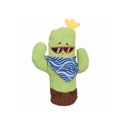 Zanies Sassy Cactus with Shades