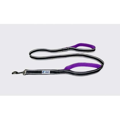 Purple - Headlight Harness Double Handle Reflective Leash - 6ft