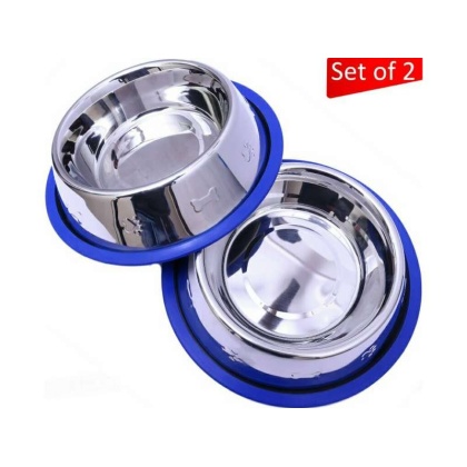 Etched Stainless Steel Dog Bowls with Blue Silicone Base