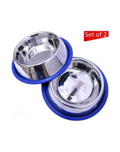 Etched Stainless Steel Dog Bowls with Blue Silicone Base