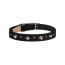 Black - Susan Lanci Designs Crystal Paws Collar - Medium