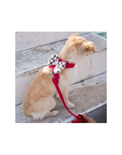 Red - Susan Lanci Designs Plain Leash - 4 FT