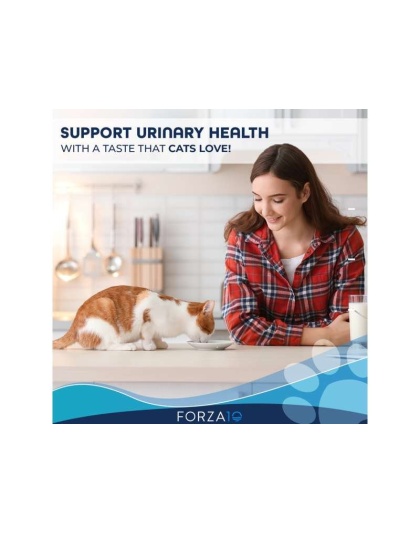 Forza10 Active Urinary Dry Cat Food - 1-lb bag