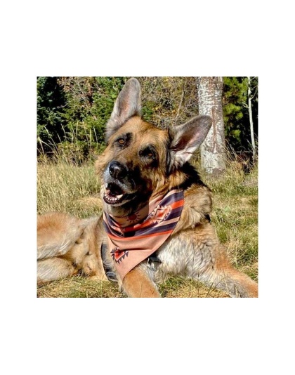 Grand Mesa - Dog Bandana - Small