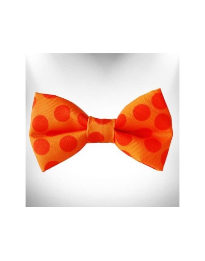 Orange - Polka Dot Dog - Monotone Bow Tie