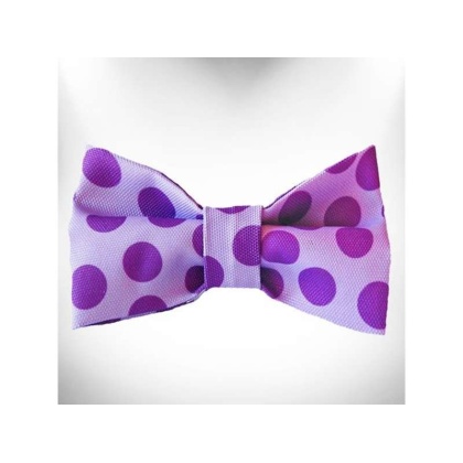 Purple - Polka Dot Dog - Monotone Bow Tie