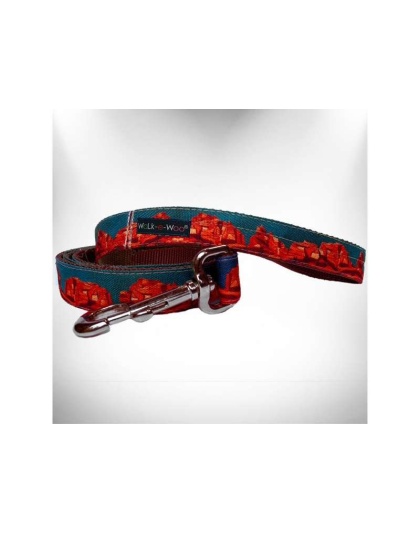 Rockin' Red  - Dog Leash - REGULAR 1" width- 5' long