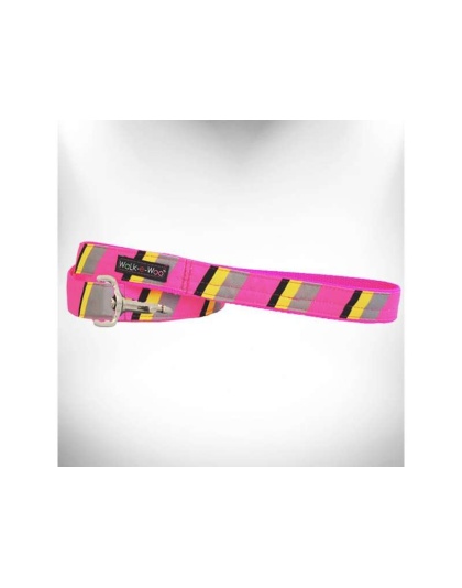 Pink/Grey  - Stripes Dog Leash - REGULAR 1" width- 5' long