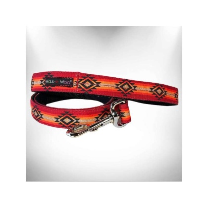 Sky Fire  - RaDog Leash - REGULAR 1" width- 5' long