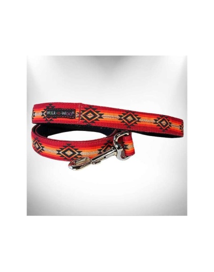 Sky Fire  - RaDog Leash - REGULAR 1" width- 5' long