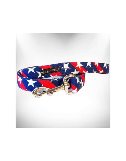 Stars & Stripes Dog Leads  - REGULAR Lead 1" width- 5' length