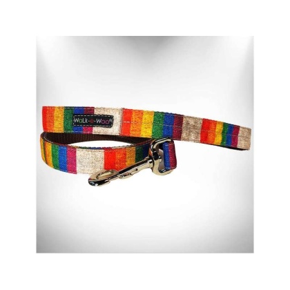 Rainbow Pride  - RaDog Leash - REGULAR 1" width- 5' long