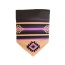 Purple Sky/Pow Wow Pink - Sport Bandana  - Small