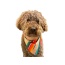 Peace - Sport Bandana  - Small