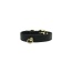 Black - Bee Mine Dog Collar - 10"