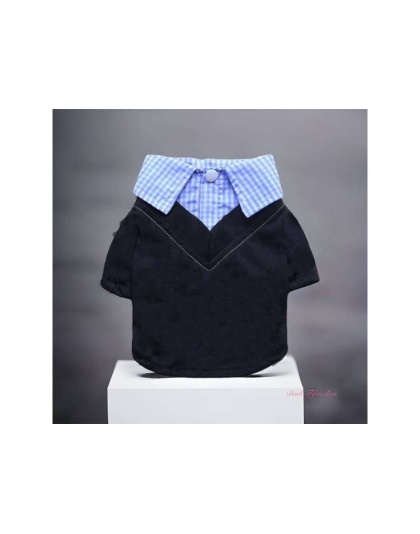 Dapper Boy Collar Dog Shirt - Small