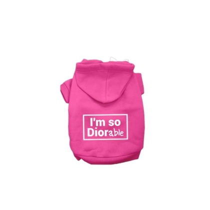 PINK - DIOR-able Hoodie - Large