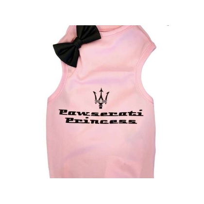 Pink - Pawserati Princess - X Small