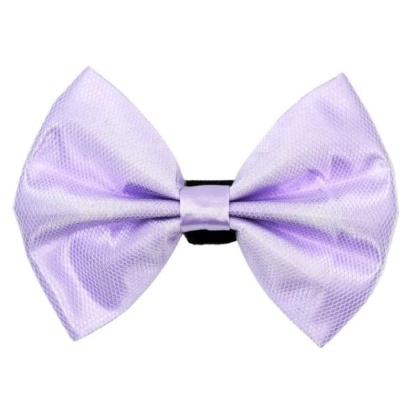 3 - PR3004|Pets Ribbons - 2"