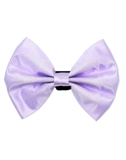 3 - PR3004|Pets Ribbons - 2"