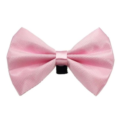 4 - PR3004|Pets Ribbons - 2"