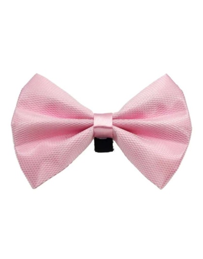 4 - PR3004|Pets Ribbons - 2"