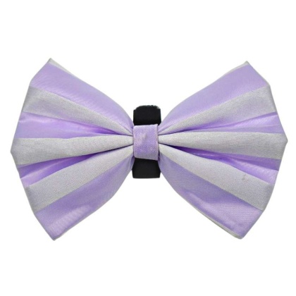 10 - PR3006|Pets Ribbons - 2"