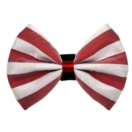 3 - PR3006|Pets Ribbons - 4"