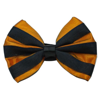 Orange - PR3006HS|Pets Ribbons - 2"