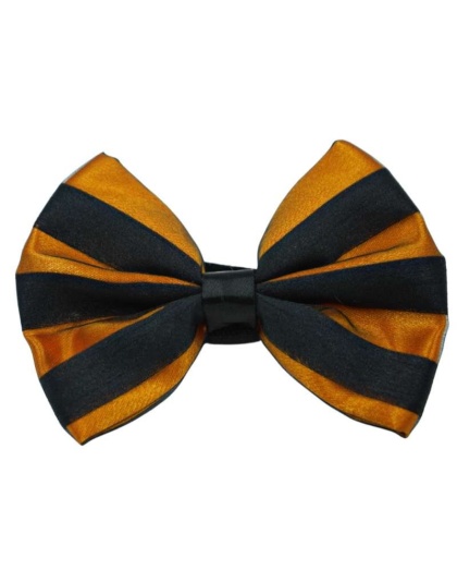 Orange - PR3006HS|Pets Ribbons - 2"