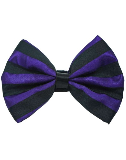 Purple - PR3006HS|Pets Ribbons - 3"