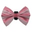 Pink/White - PR3006VA|Pets Ribbons - 2"