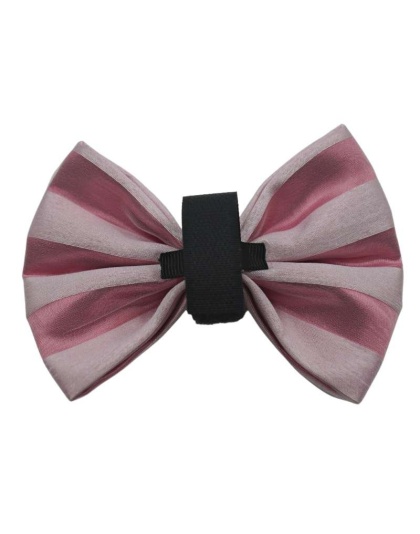 Pink/White - PR3006VA|Pets Ribbons - 2"