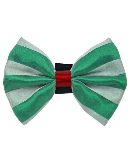 Green/White - PR3006X|Pets Ribbons - 2"