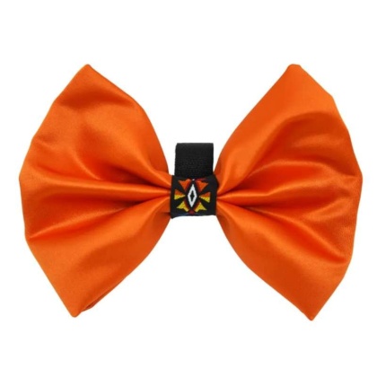 Orange - PR3007|Pets Ribbons - 2"