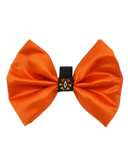 Orange - PR3007|Pets Ribbons - 2"