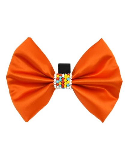 Orange - PR3008|Pets Ribbons - 2"