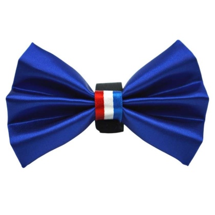 Blue - PR3009|Pets Ribbons - 2"