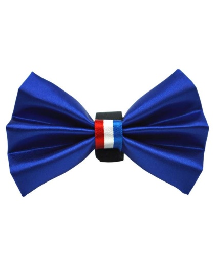 Blue - PR3009|Pets Ribbons - 2"