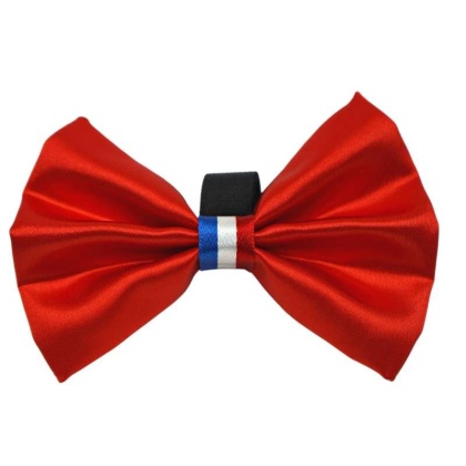 Red - PR3009|Pets Ribbons - 2"