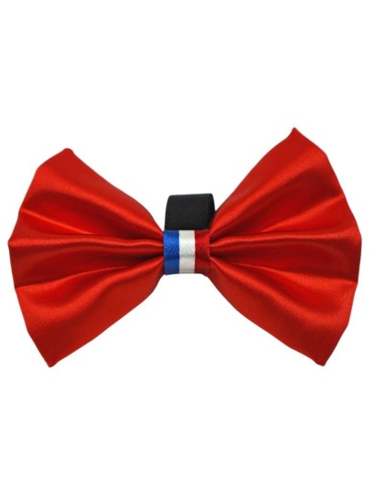 Red - PR3009|Pets Ribbons - 2"