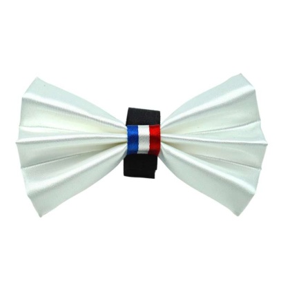 White - PR3009|Pets Ribbons - 2"