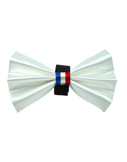 White - PR3009|Pets Ribbons - 2"