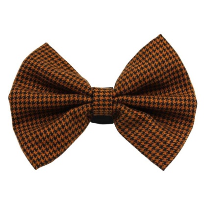 Brown - PR4012|Pets Ribbons - 5"