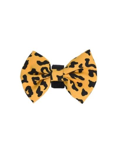 Yellow - PR6000|Pets Ribbons - 2"