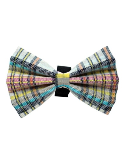 PR8008|Pets Ribbons - 2"