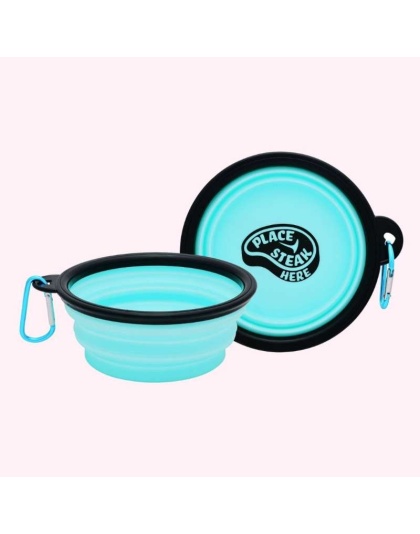 "Place Steak Here" Aqua Dog Bowl