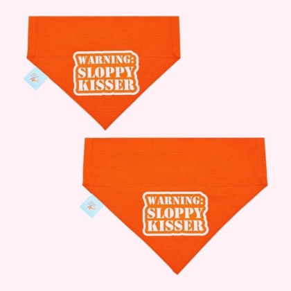 "Warning Sloppy Kisser" Orange Collar Bandana - Medium